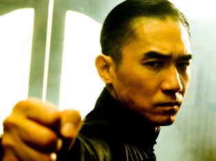 The Grandmaster : le film du maître du Kung Fu, Yip Man