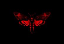Lil Wayne dévoile la tracklist I Am Not A Human Being II
