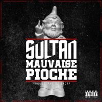 Sultan : Mauvaise pioche, son nouveau titre !