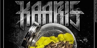 Kaaris 80 zetrei (Lyrics / Paroles) MP3