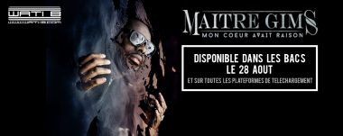 Mon Coeur Avait Raison de Maitre Gims (Telecharger iTunes)