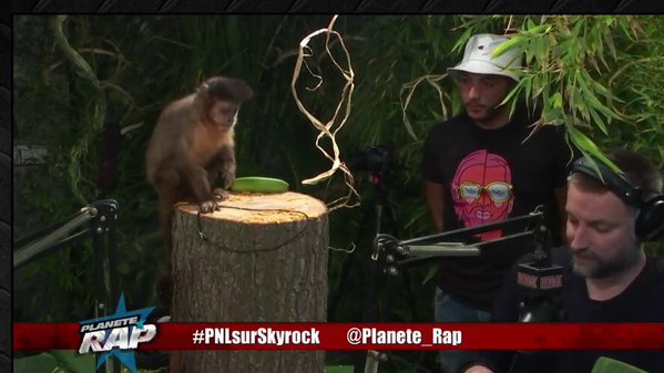 PNL n'est pas présent sur Skyrock, Fred Musa est avec un singe !