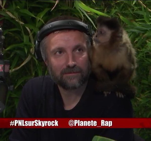 PNL n'est pas présent sur Skyrock, Fred Musa est avec un singe !