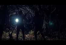 Volts Face & Hayce Lemsi – Sale (Clip)