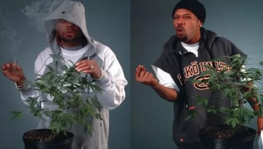 How High 2 : la bande annonce fait un bide, les fans veulent le retour de Method Man et Redman !
