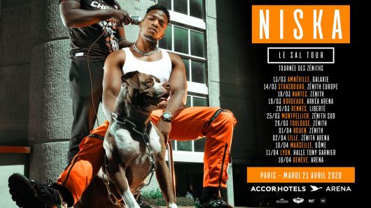 Mr Sal de Niska (Télécharger, écouter album) MP3