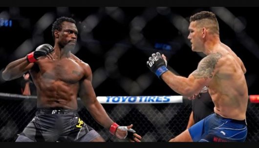 UFC : Un combattant se casse la jambe avec son 1er coup