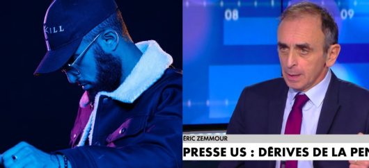 Niro choqué par les affiches « Zemmour président »