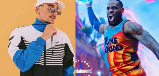 Mister V réagit au défi de LeBron James 