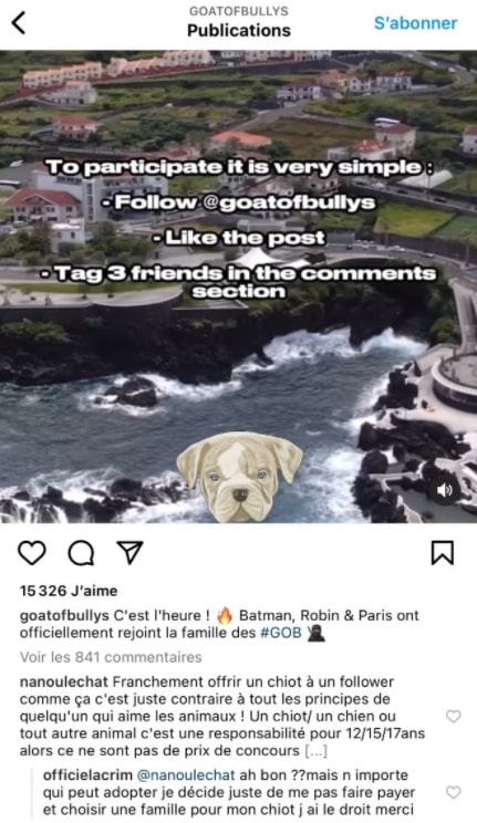Lacrim s'explique après les critiques de son concours pour remporter des chiots 2