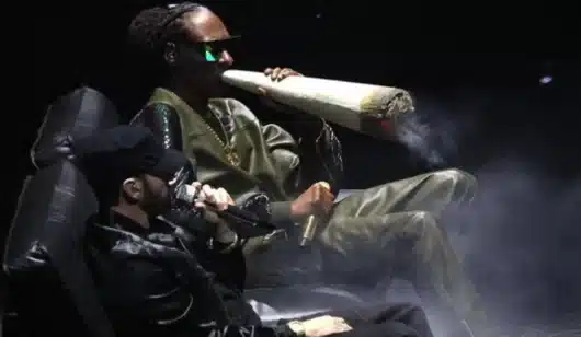 Snoop Dogg fume un joint gigantesque à côté d'Eminem