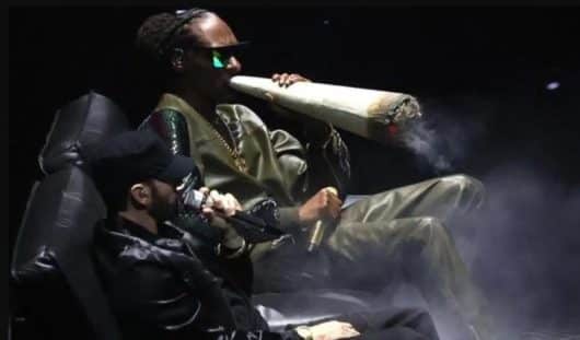 Snoop Dogg arrête de fumer, le responsable de cette pub viré