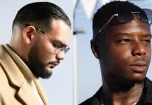Ninho fait supprimer tous ses featurings avec Sadek