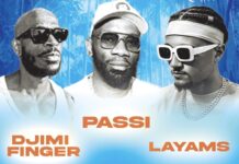 Passi feat. Ndo Layams New single « Koala »
